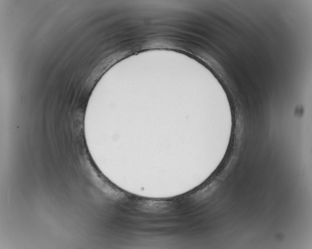 X0000112050849200909151001