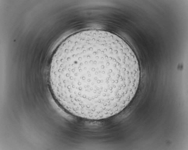 X0000112050851200909151001