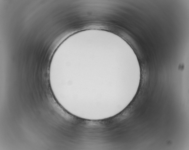 X0000112050852200909151001