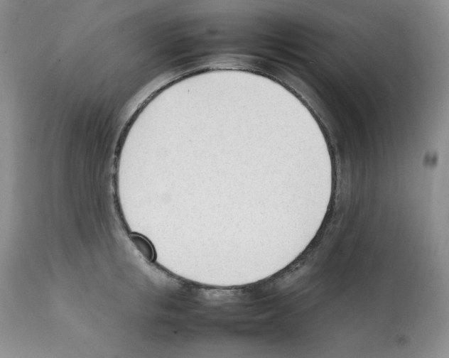 X0000112050853200909151001