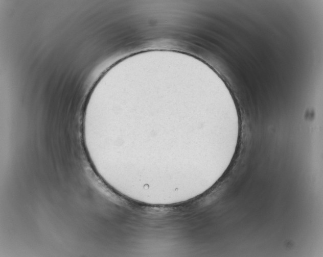 X0000112050854200909151001