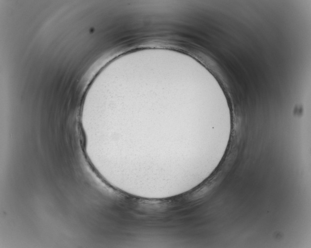 X0000112050855200909151001