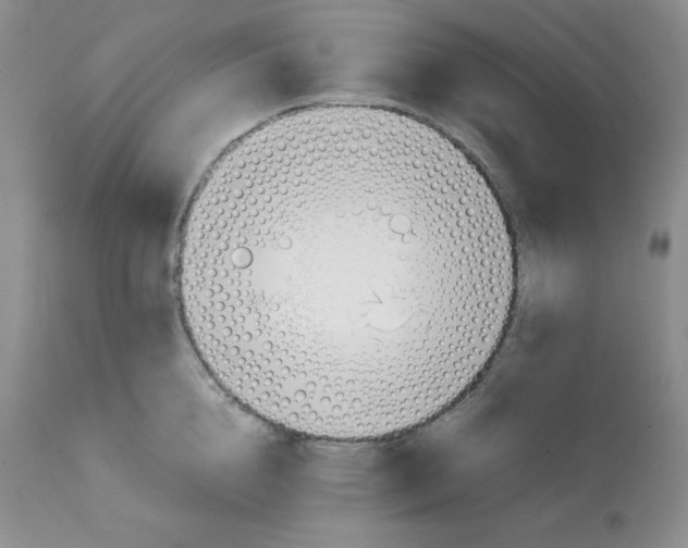 X0000112050856200909151001