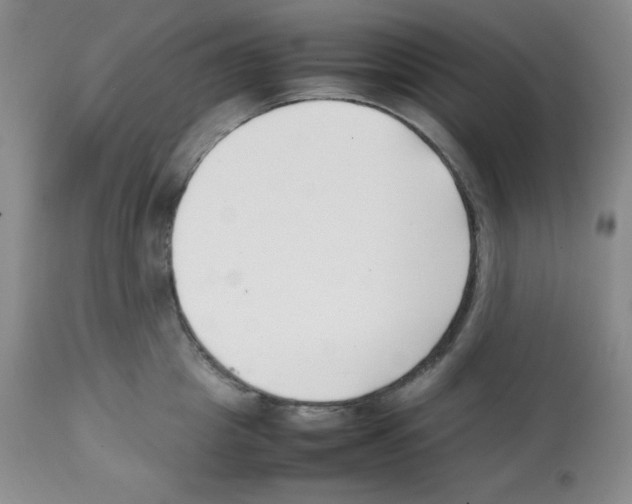 X0000112050857200909151001