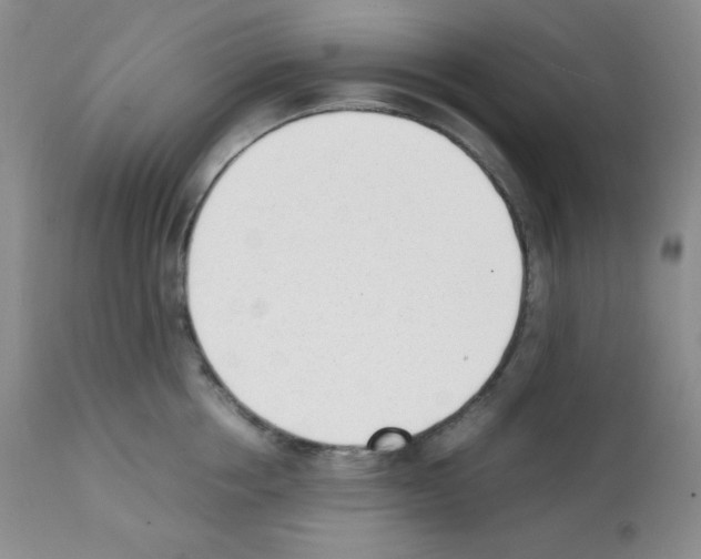 X0000112050858200909151001