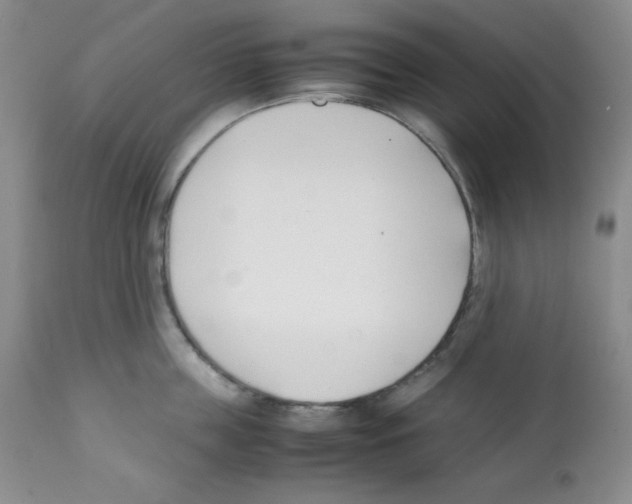 X0000112050859200909151001