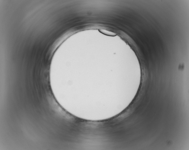 X0000112050860200909151001