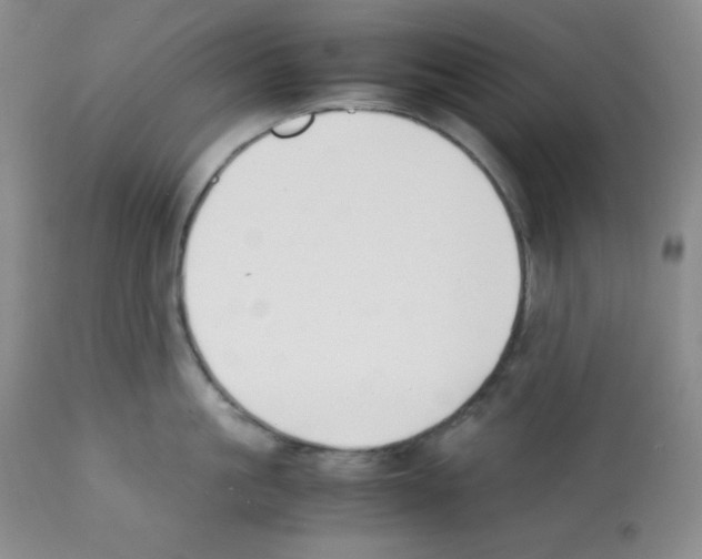 X0000112050861200909151001