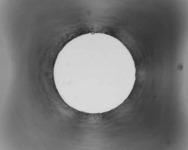 X0000112050865200909151000