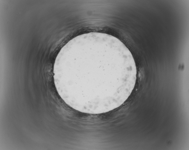 X0000112050867200909151000