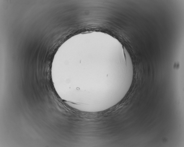 X0000112050868200909151000
