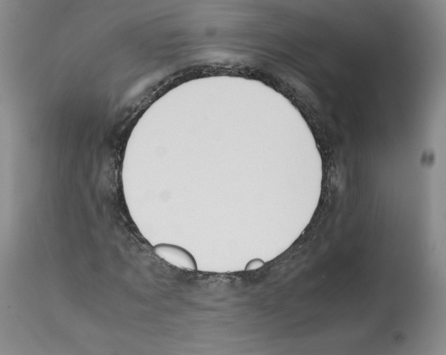 X0000112050869200909151000