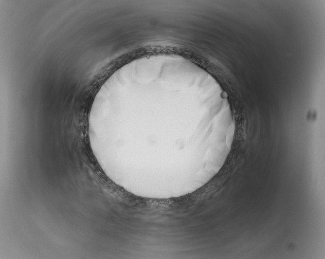 X0000112050870200909151000