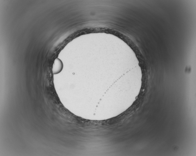 X0000112050871200909151000