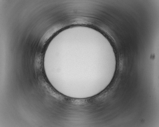 X0000112050874200909151000