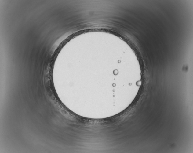 X0000112050875200909151000