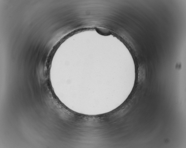 X0000112050876200909151000