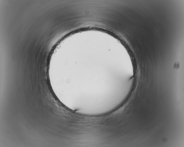 X0000112050877200909151000