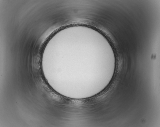 X0000112050878200909151000