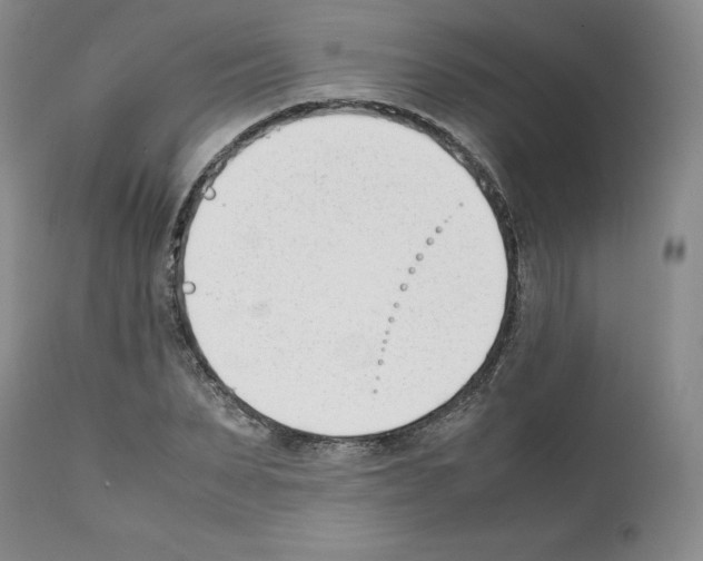 X0000112050879200909151000