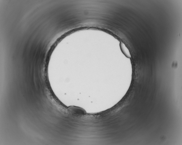 X0000112050880200909151000