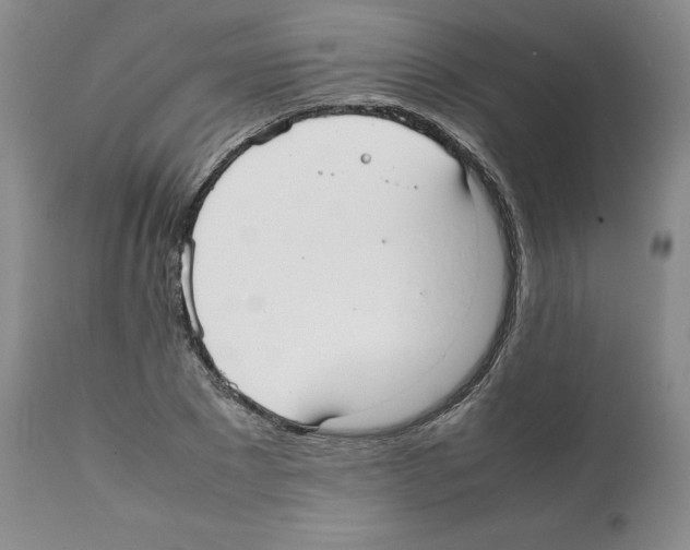 X0000112050881200909151000