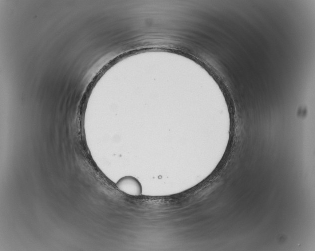 X0000112050883200909151000