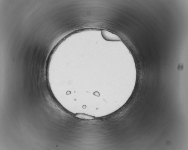 X0000112050884200909151000