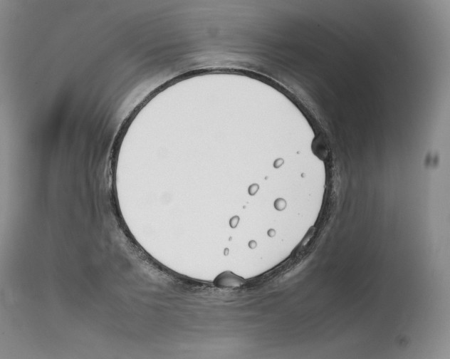 X0000112050885200909151000