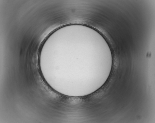 X0000112050886200909151000