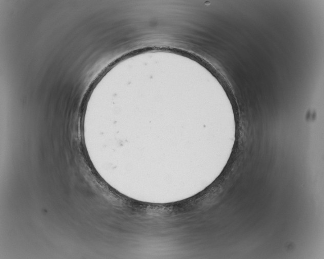 X0000112050887200909151000
