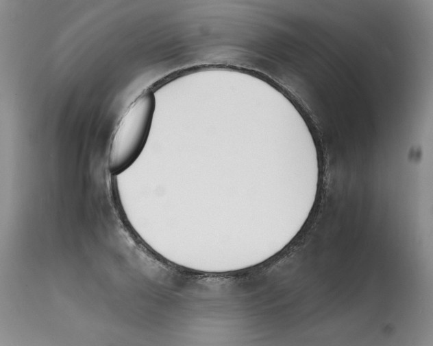 X0000112050888200909151000