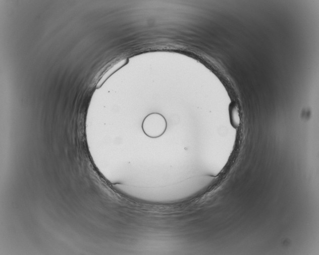 X0000112050889200909151000