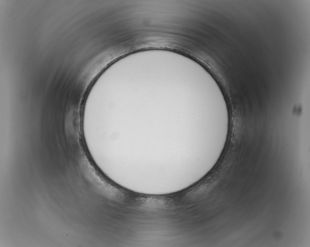 X0000112050890200909151000