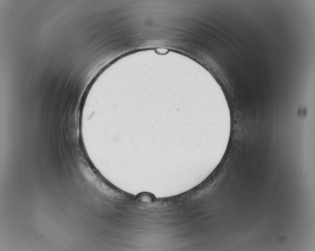 X0000112050892200909151000