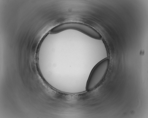 X0000112050893200909151000