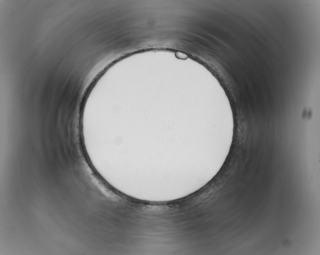 X0000112050894200909151000