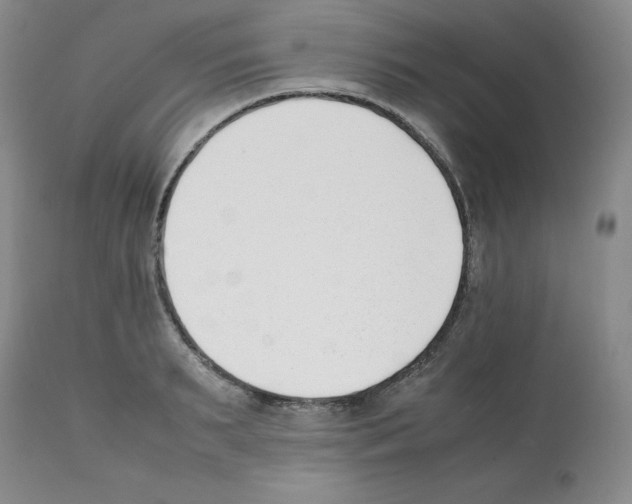X0000112050895200909151000