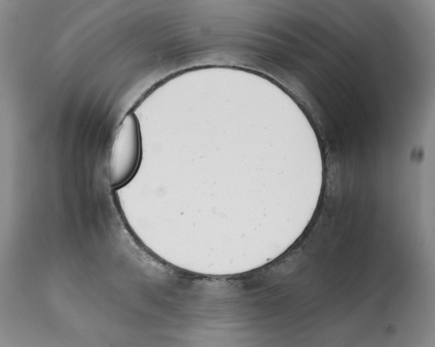 X0000112050896200909151000