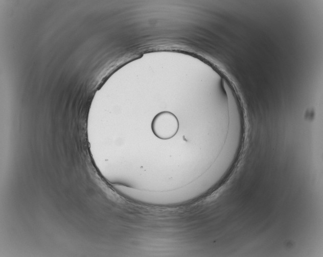 X0000112050897200909151000
