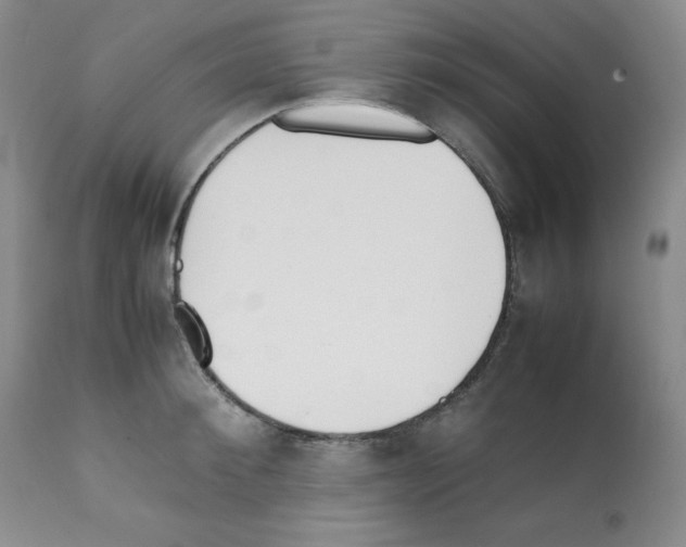 X0000112050900200909151000