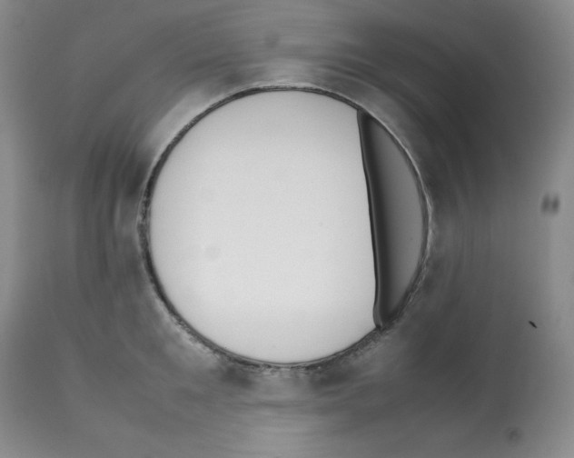 X0000112050901200909151000