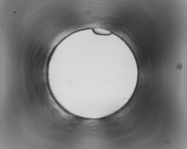 X0000112050902200909151000