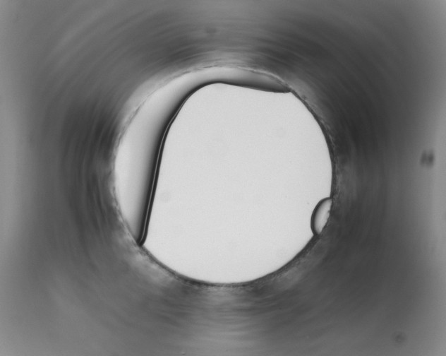 X0000112050904200909151000