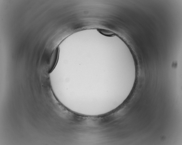 X0000112050905200909151000