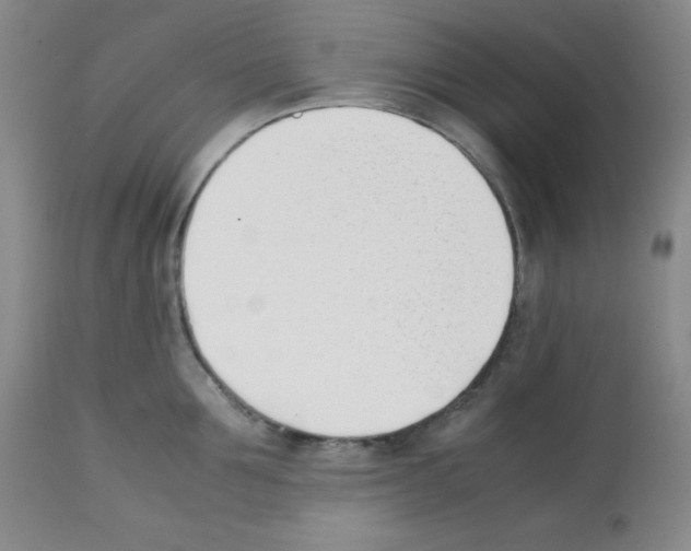 X0000112050907200909151000