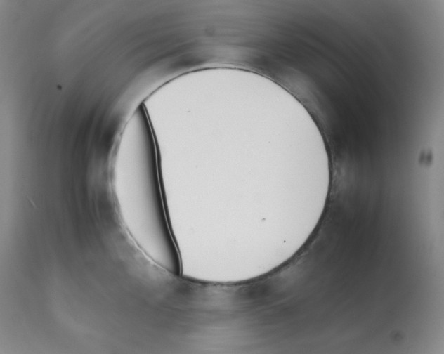X0000112050908200909151000