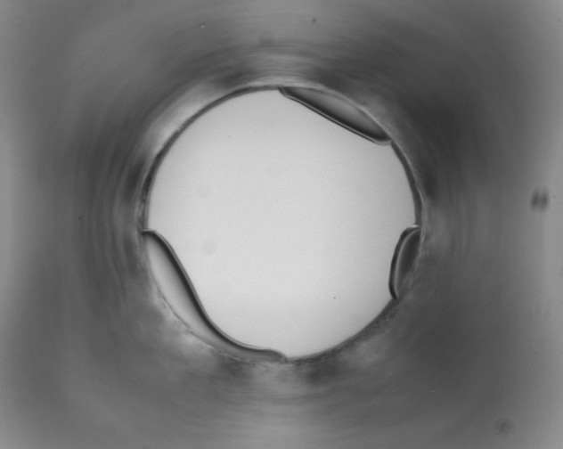 X0000112050909200909151000