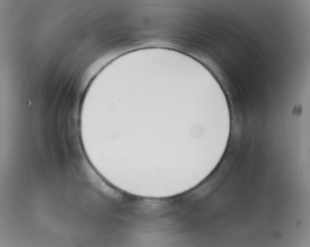 X0000112050910200909151000
