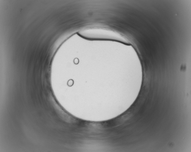 X0000112050911200909151000